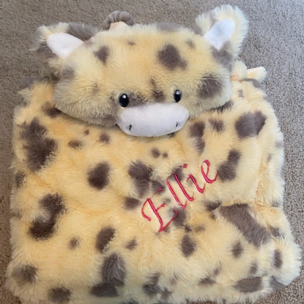 Personalized toddler blanket and plushie!